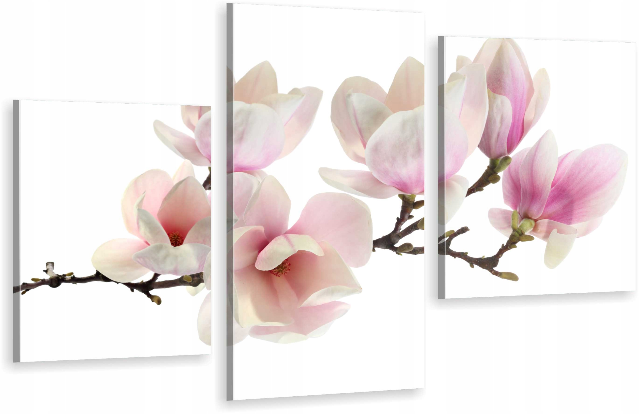 

Tryptyki Obraz Na Ścianę Kwiaty Magnolii Wybór Wz