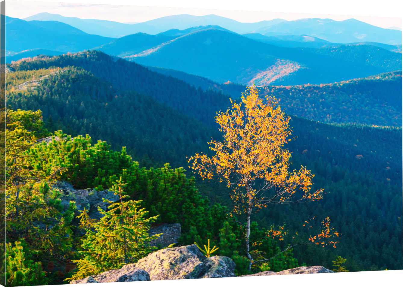 

Obraz Na Płótnie Karpaty Góry Szczyt 70x50 800 Wz