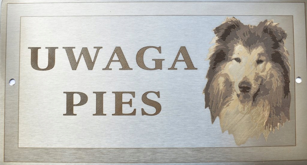

Tabliczka ostrzegawcza Uwaga Pies Owczarek Szkocki