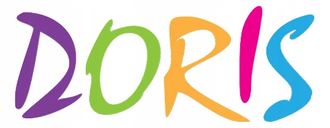 DUŻY WÓZEK SPACEROWY DLA LALEK DORIS SPACERÓWKA SKRĘTNE KOŁA Materiał metal pianka plastik tkanina inny