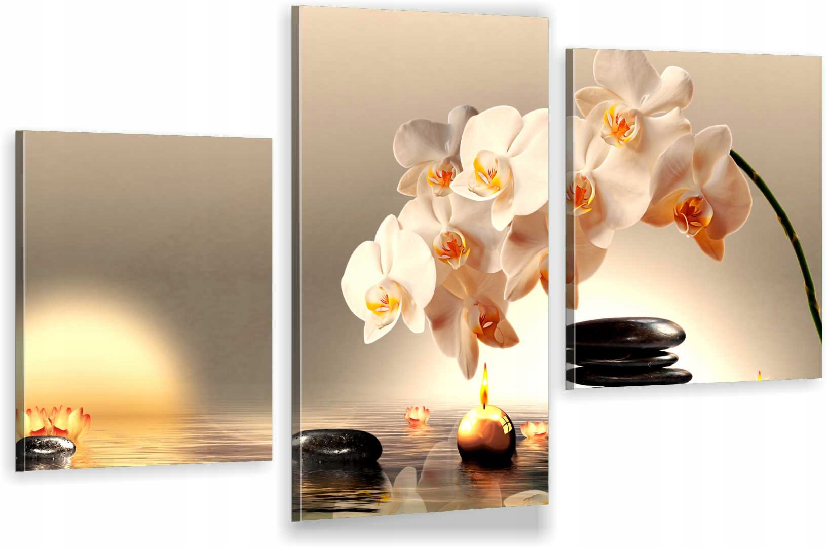 

Tryptyki Obraz Na Ścianę Biała Orchidea 800 Wzorów