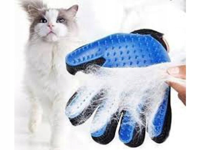 

Szczotka Rękawica Czesania Wyczesywania sierści