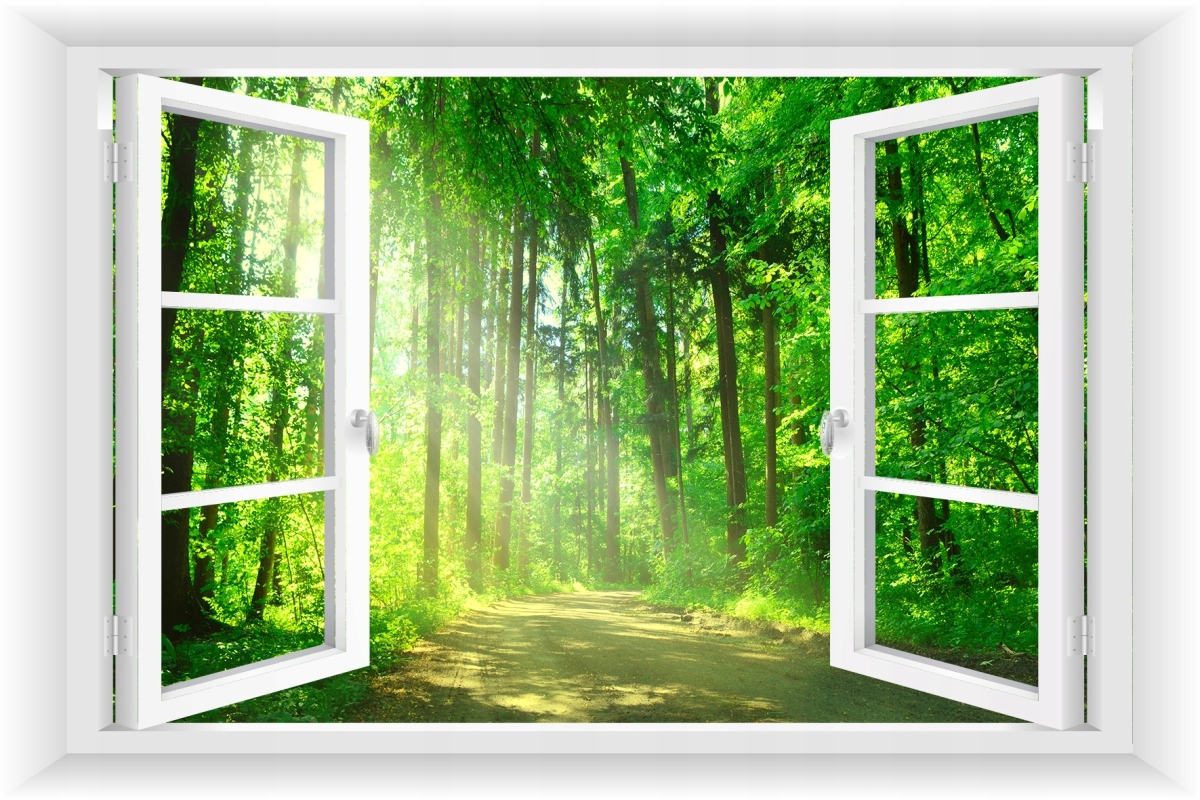 

Fototapeta Okno 3D Las Drzewa Przyroda 150X100cm