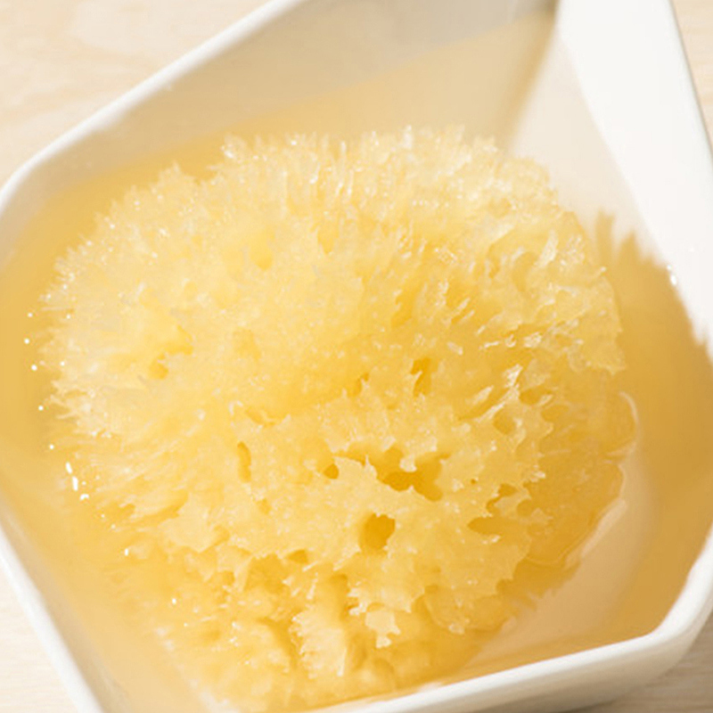 Gąbka MORSKA Naturalna HONEYCOMB Najwyższa JAKOŚĆ Rodzaj gąbka