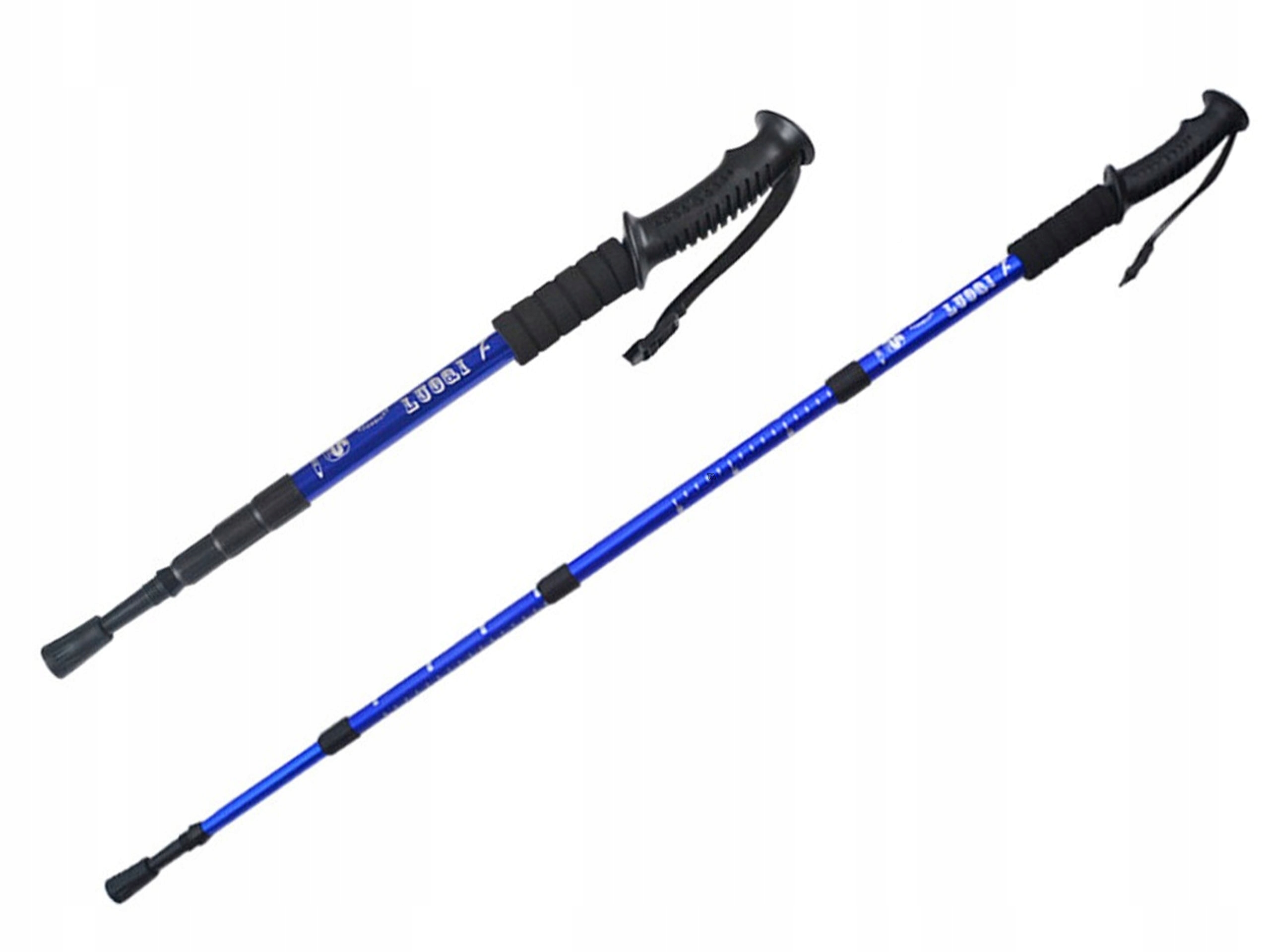 KIJKI NORDIC WALKING DO CHODZENIA KIJE PCV + ETUI Liczba segmentów 3