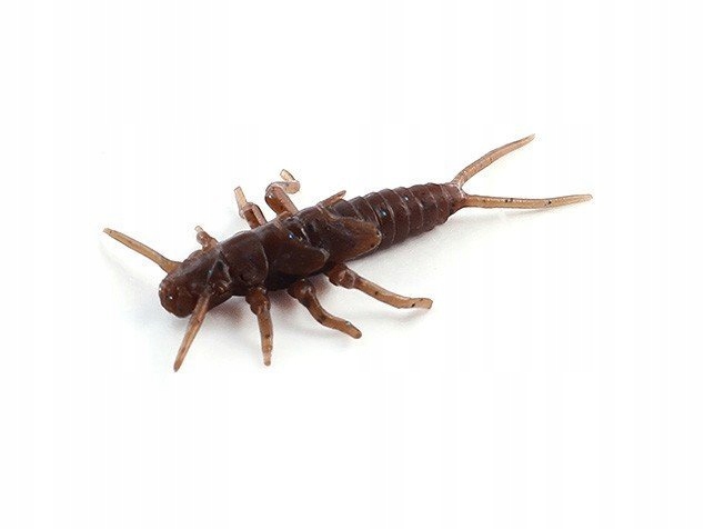 

Fish Up Stonefly 0,75″ 012 Chaos