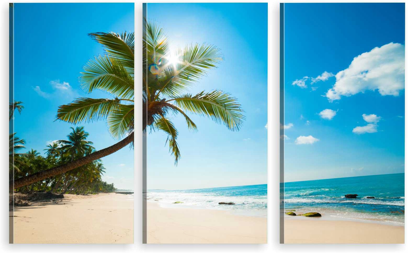 

Tryptyk Obraz Na Ścianę Plaża Palmy Morze 800 Wz