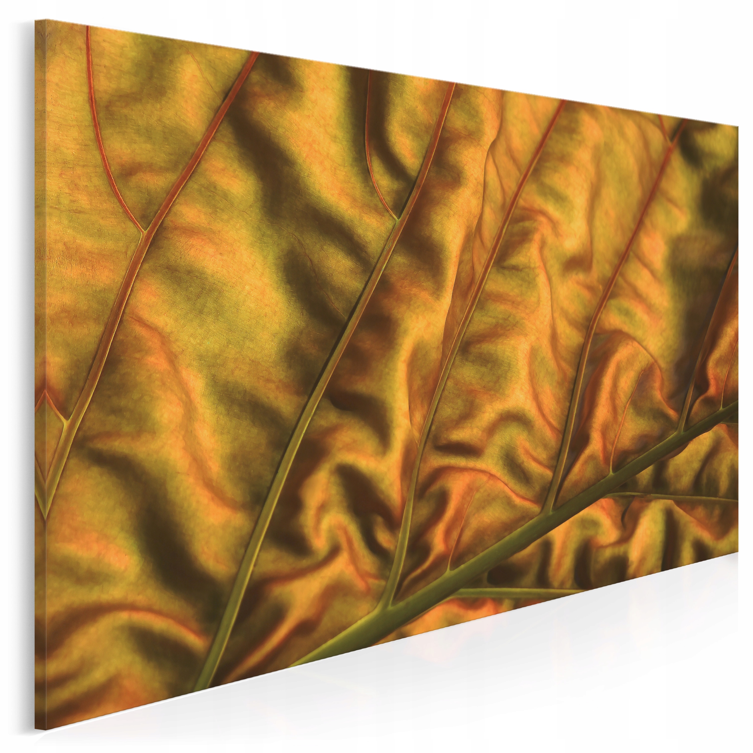 

971001 Fotografia na płótnie Aksamit Liść Glamour