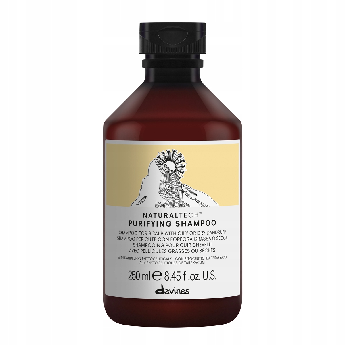 DAVINES_Naturaltech Purifying Shampoo šampon na pokožku hlavy s lupy 250