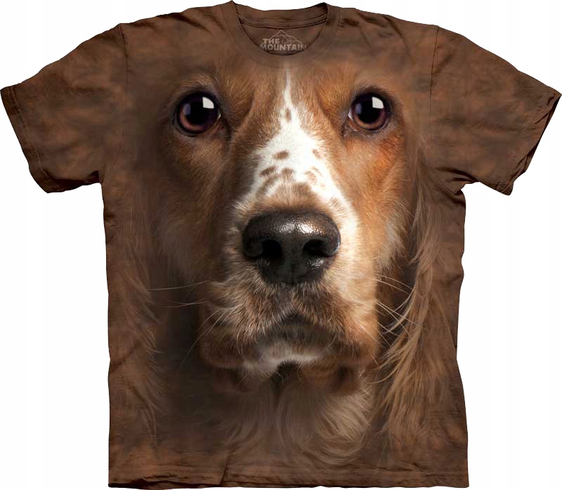 Pes Welsh Springer Spaniel Face The Mountain XXL