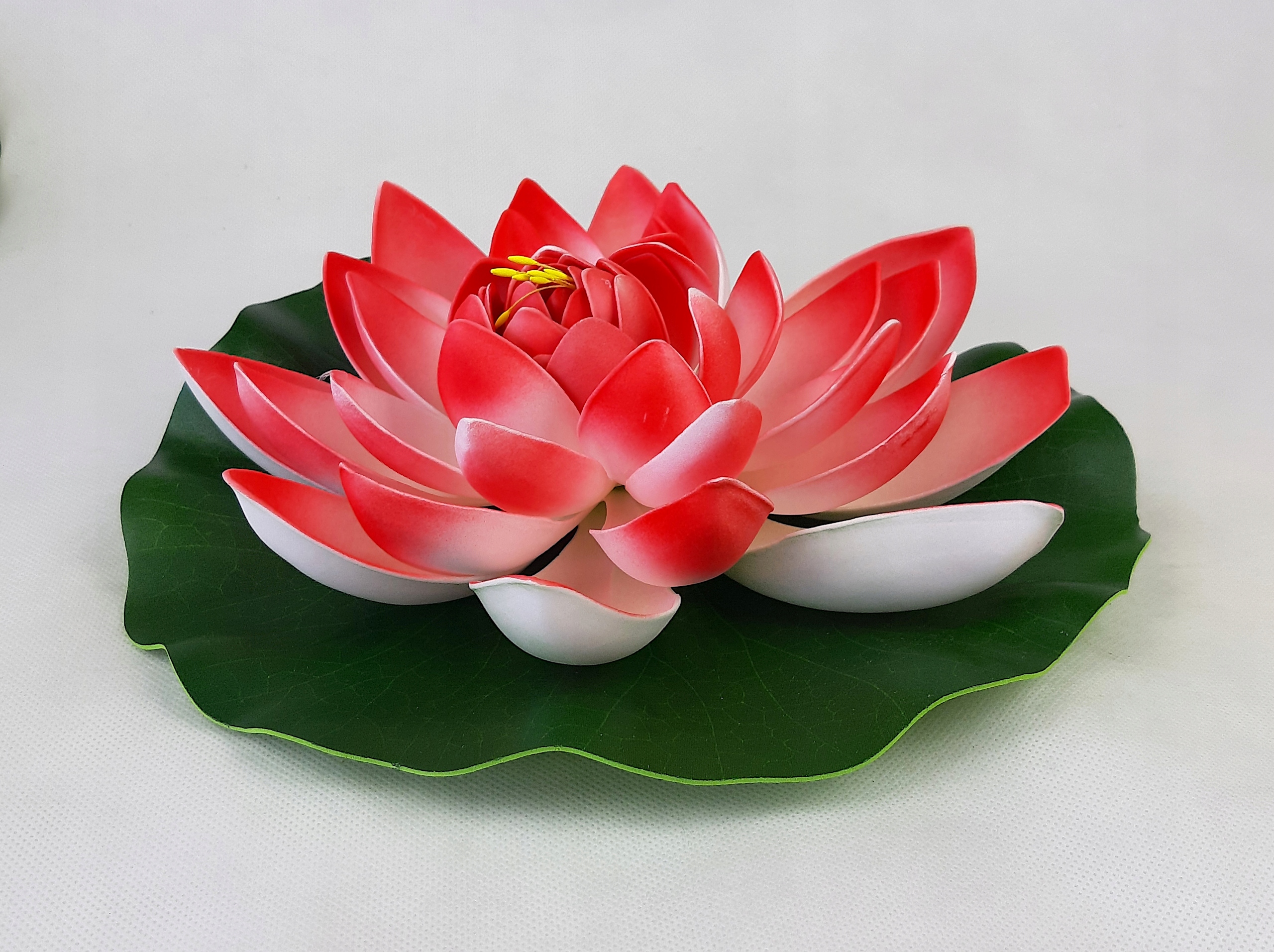 LILIA WODNA PŁYWAJĄCA BIAŁO CZERWONA DUŻA 30 cm Kod producenta L30WR