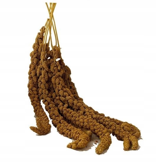 Proso senegalskie czerwone 100 g Karmbed EAN (GTIN) 5907786308564