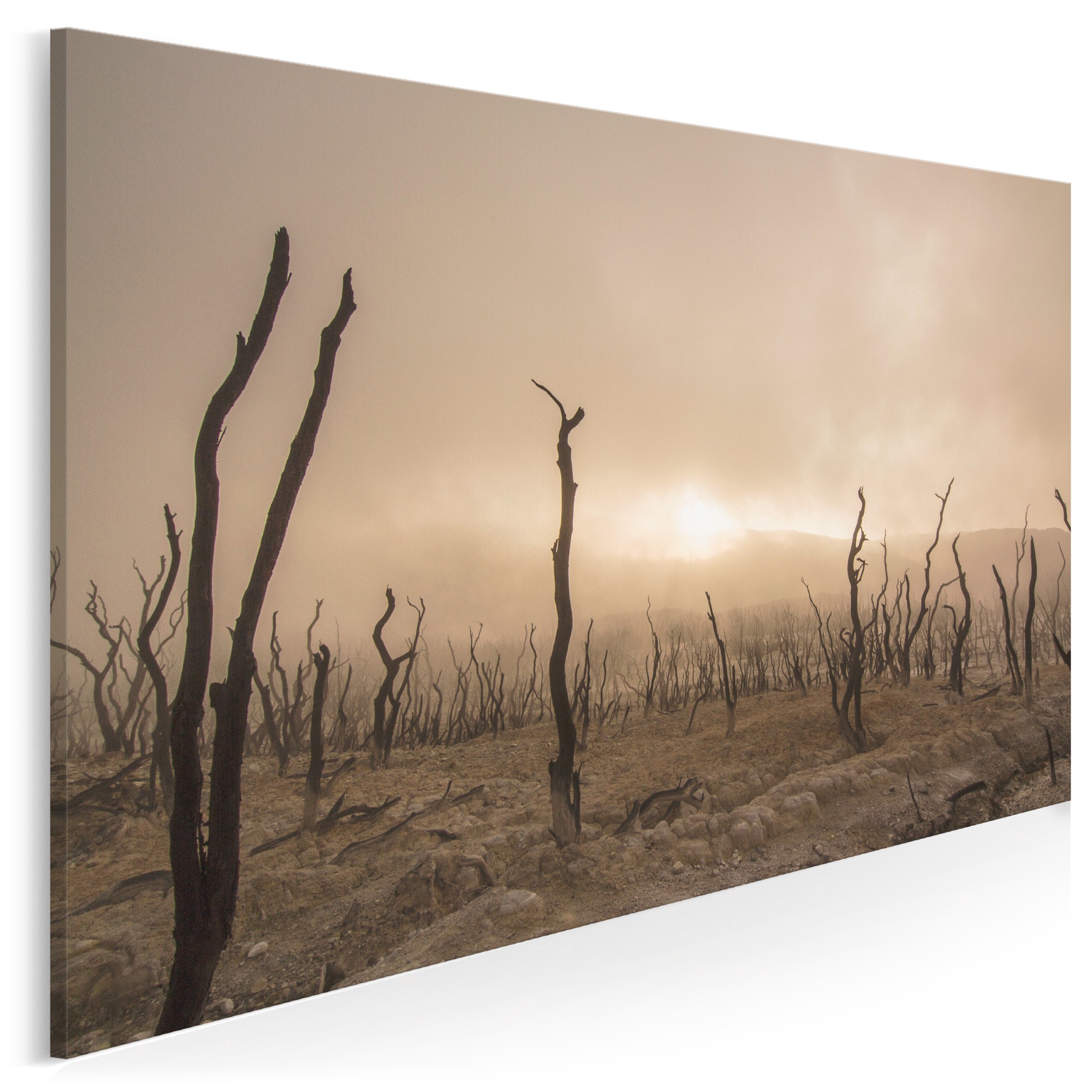 

904601 Zdjęcie na płótnie Pustynia Sepia Natura