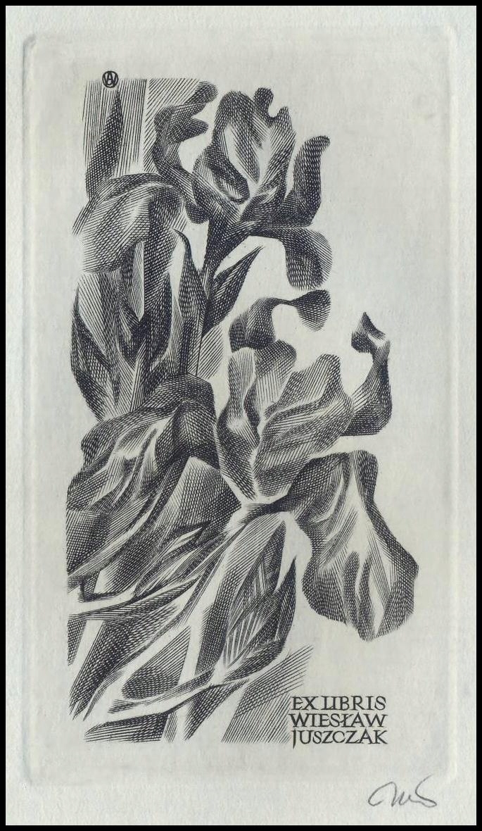 Jakubowski Wojciech 1972 Exlibris C2 Kwiaty 402