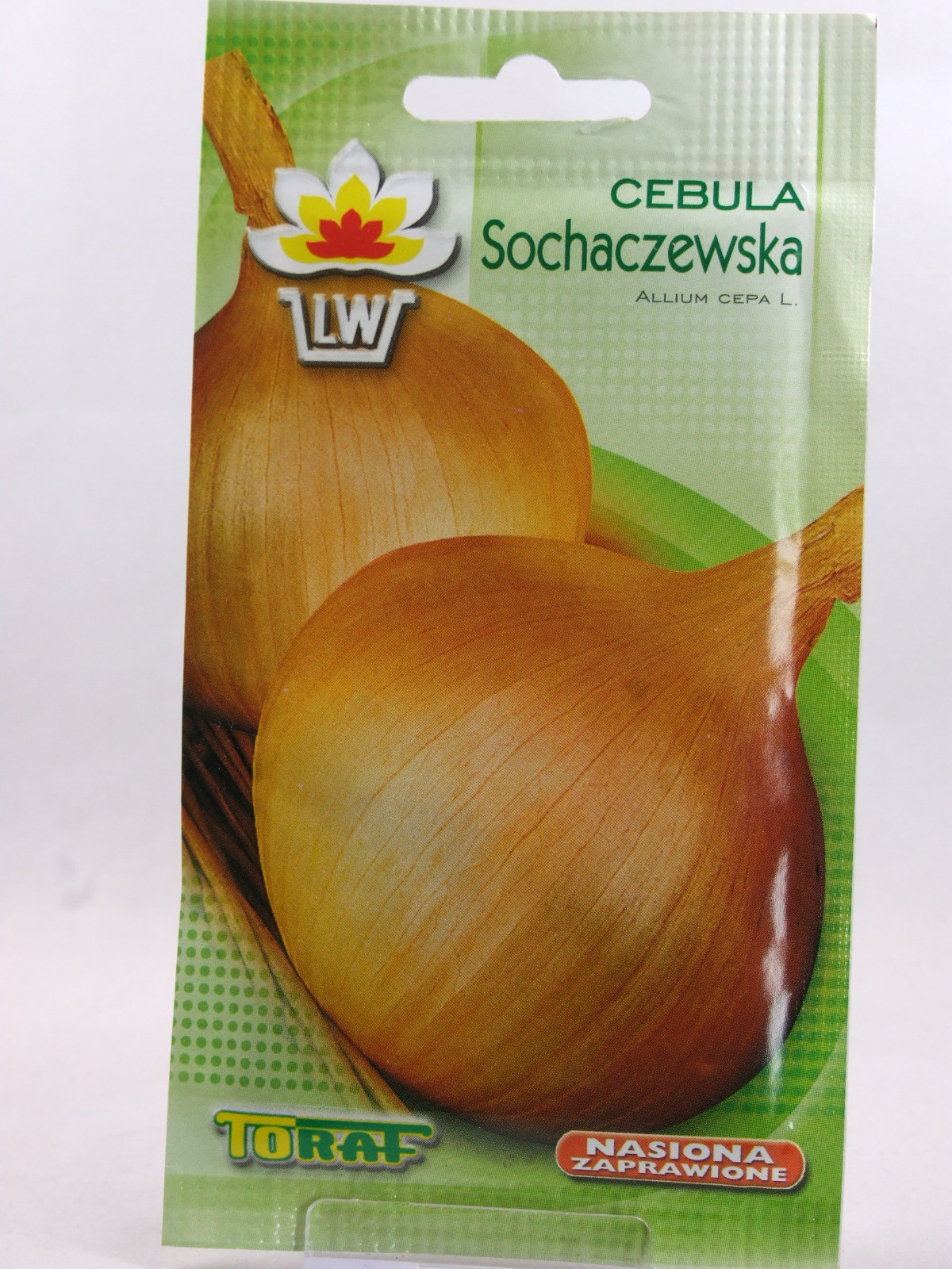 nasiona CEBULA SOCHACZEWSKA | TF1664 — 7