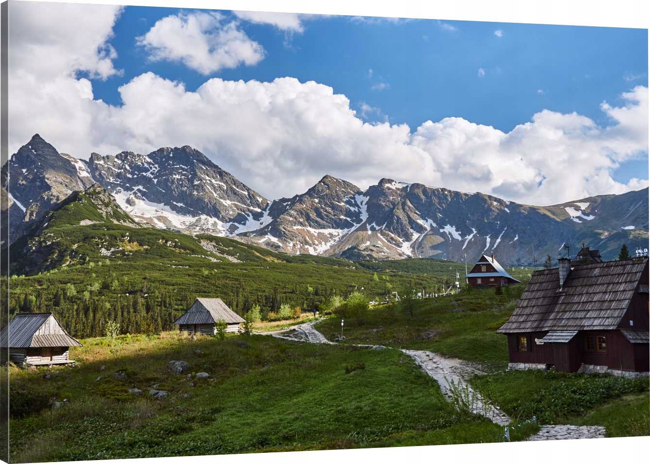 

Obraz Na Płótnie Krajobraz Góry Polana 120x80