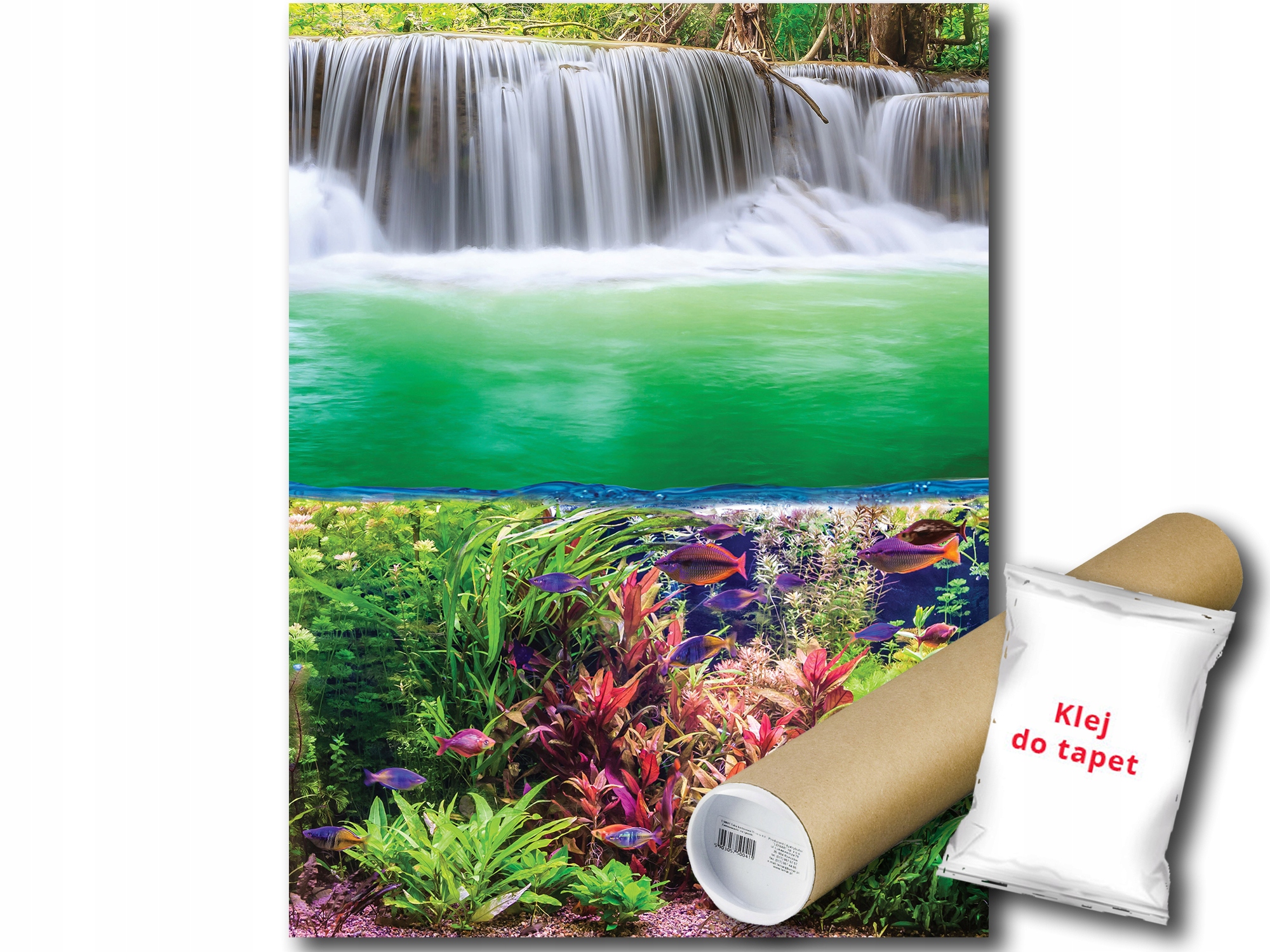 Fototapeta Podvodní Svět 3B Panxl 206x275 F3354