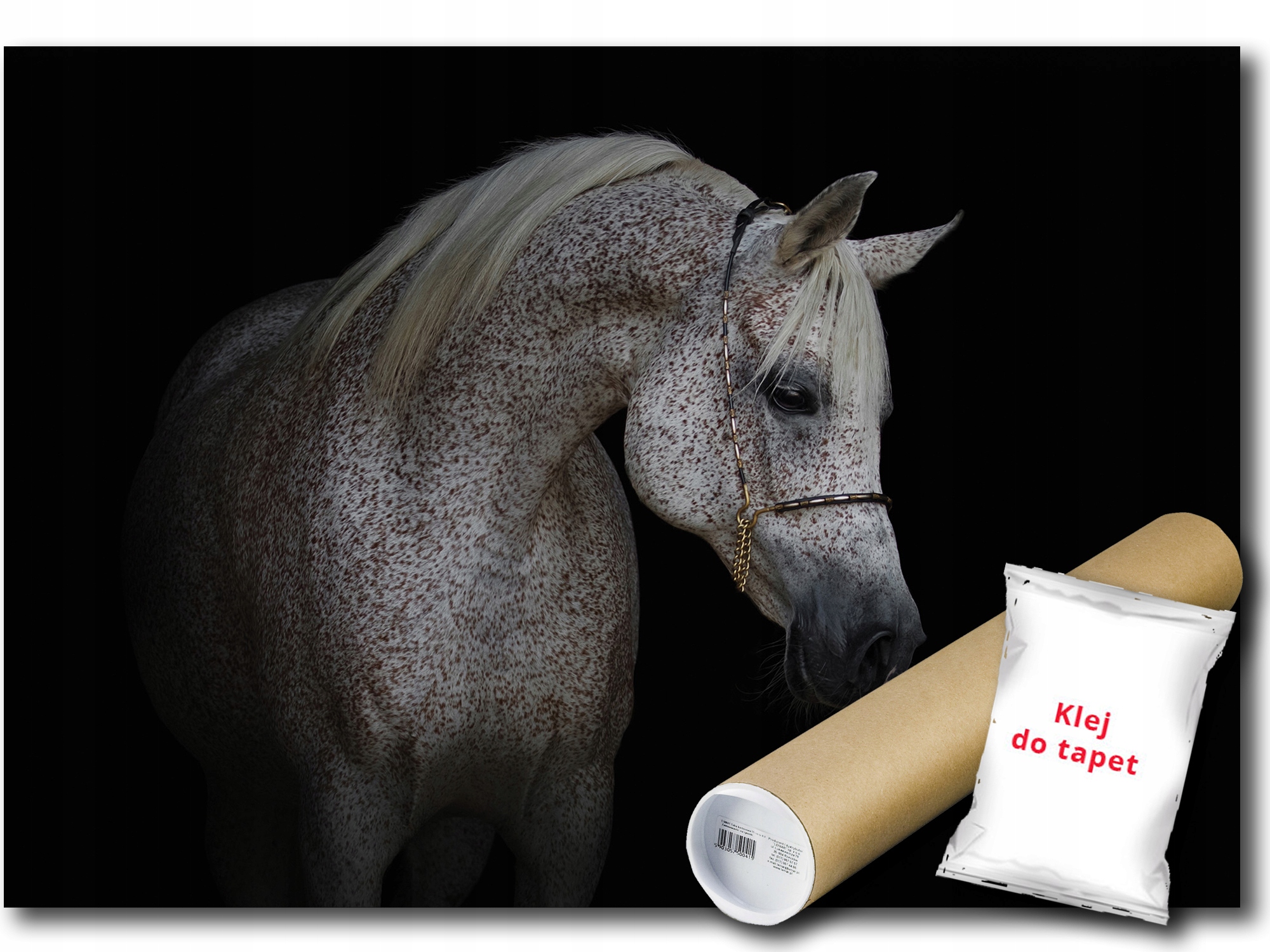 Fototapeta Bílý Kůň 12B V4 254x184 F13596