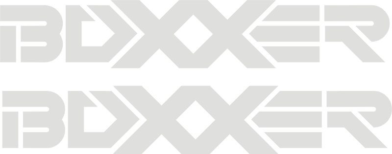 BOXXER ROCK SHOX białe naklejki 128C RÓŻNE KOLORY Kolor dominujący biały