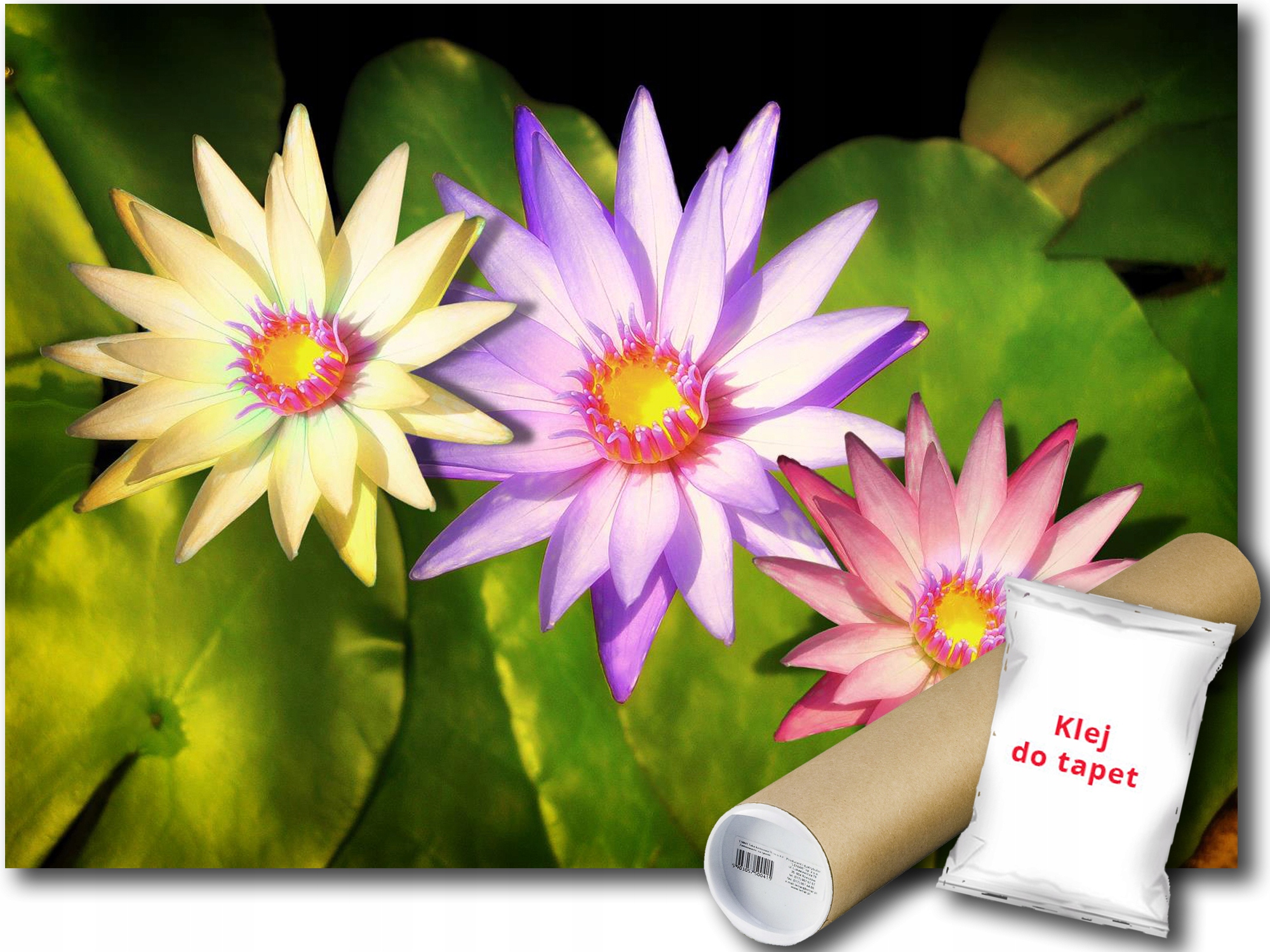 Fototapeta Květiny 9E V8 368x254 F1558