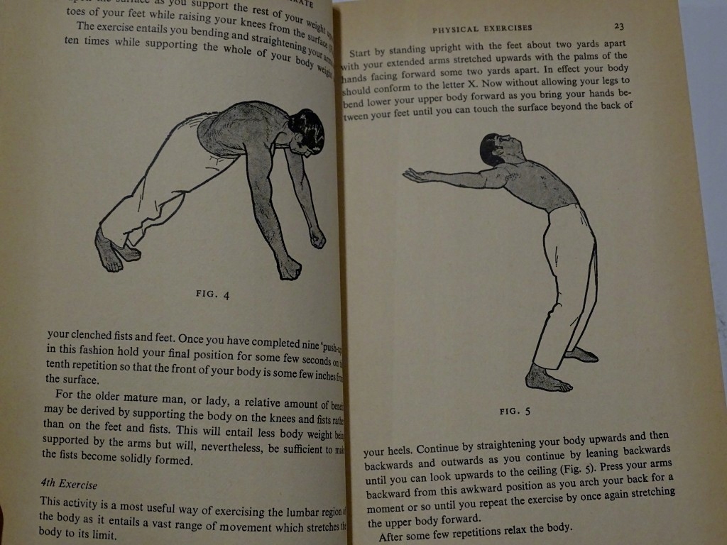 DEFEND YOURSELF WITH KARATE HARINGTON SZTUKI WALK Okładka miękka