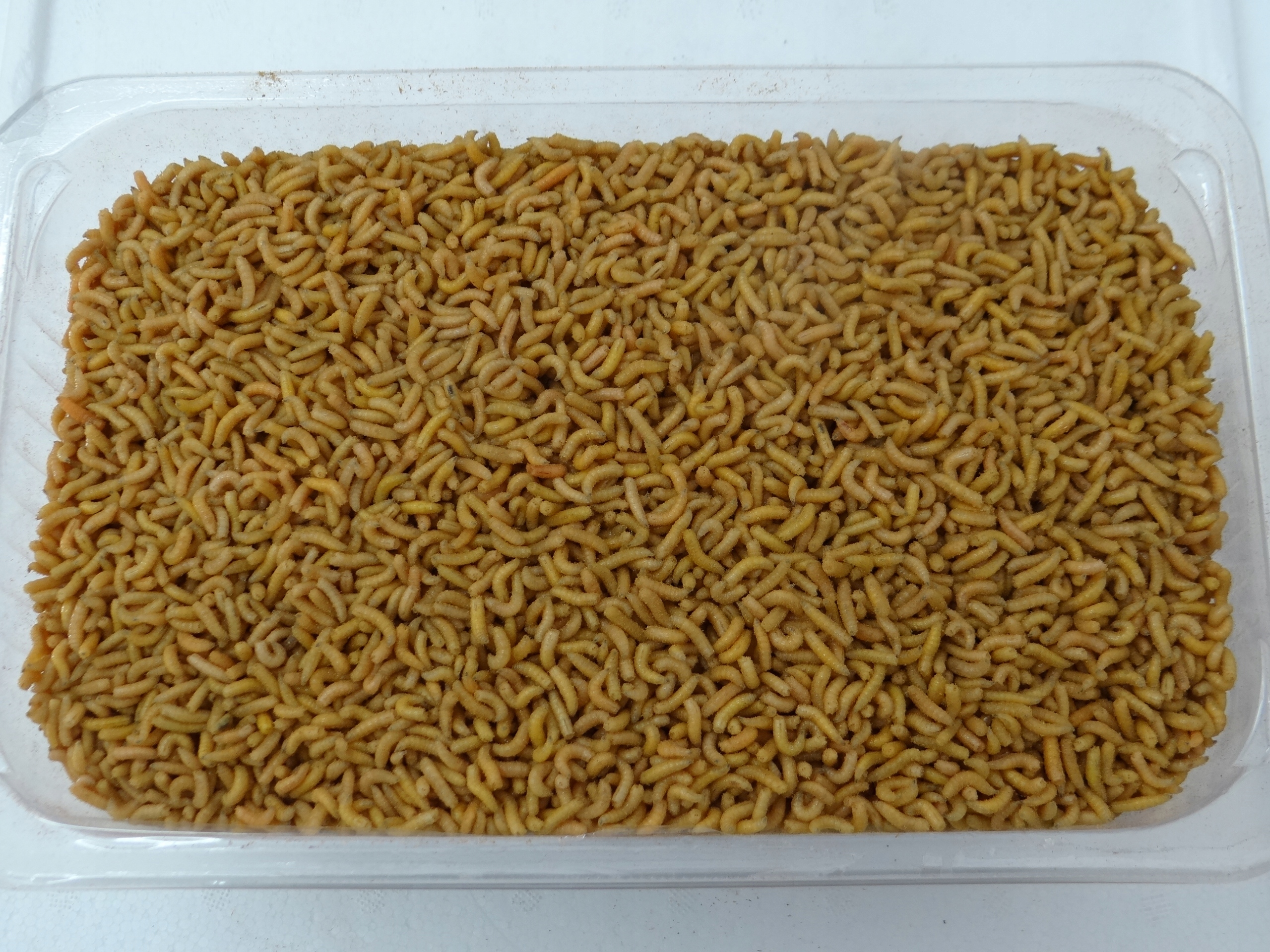 Robak pinka żółta 0,5 litra