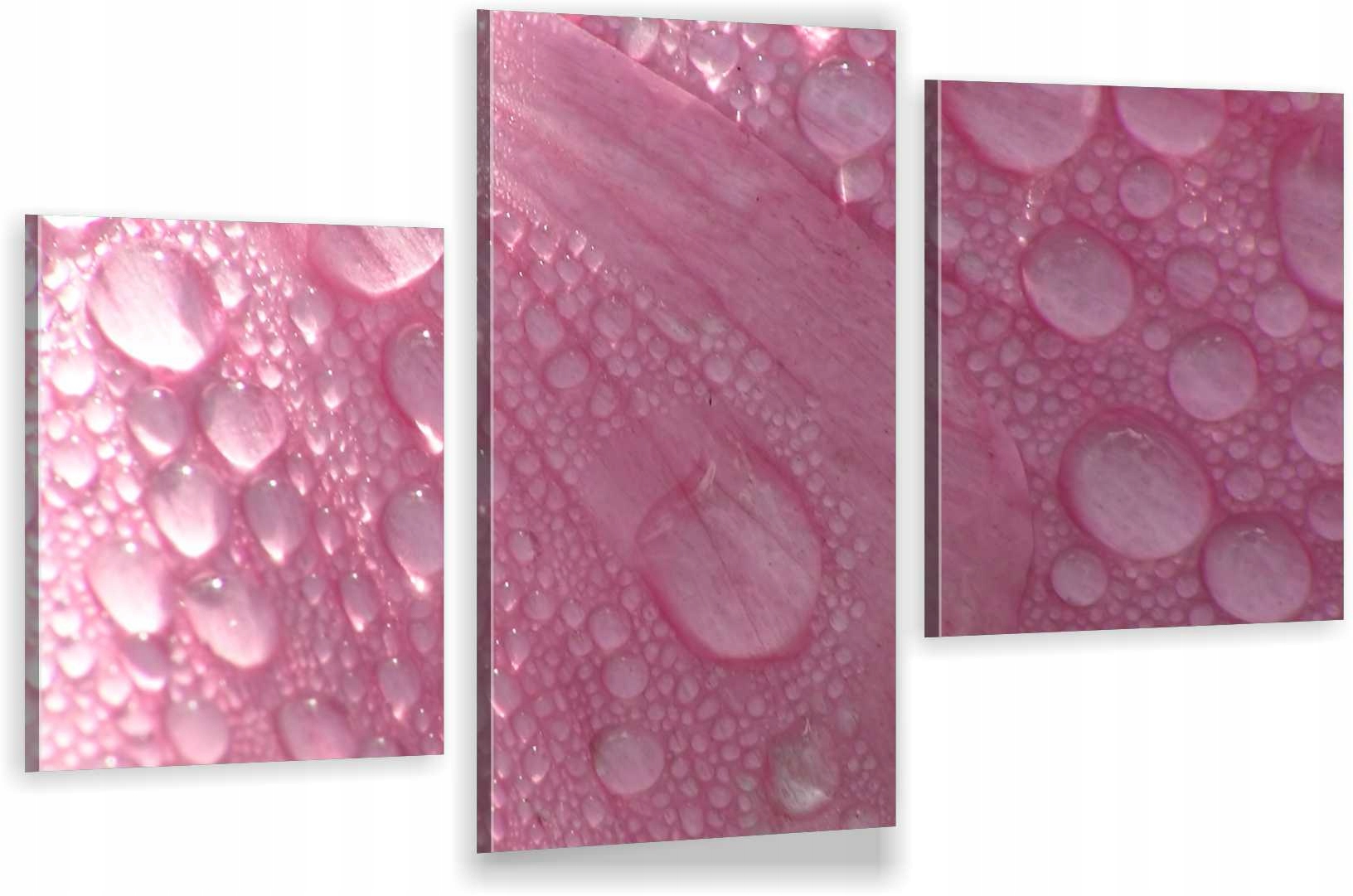 

Tryptyki Obraz Na Ścianę Rosa Płatek 980 Wzorów
