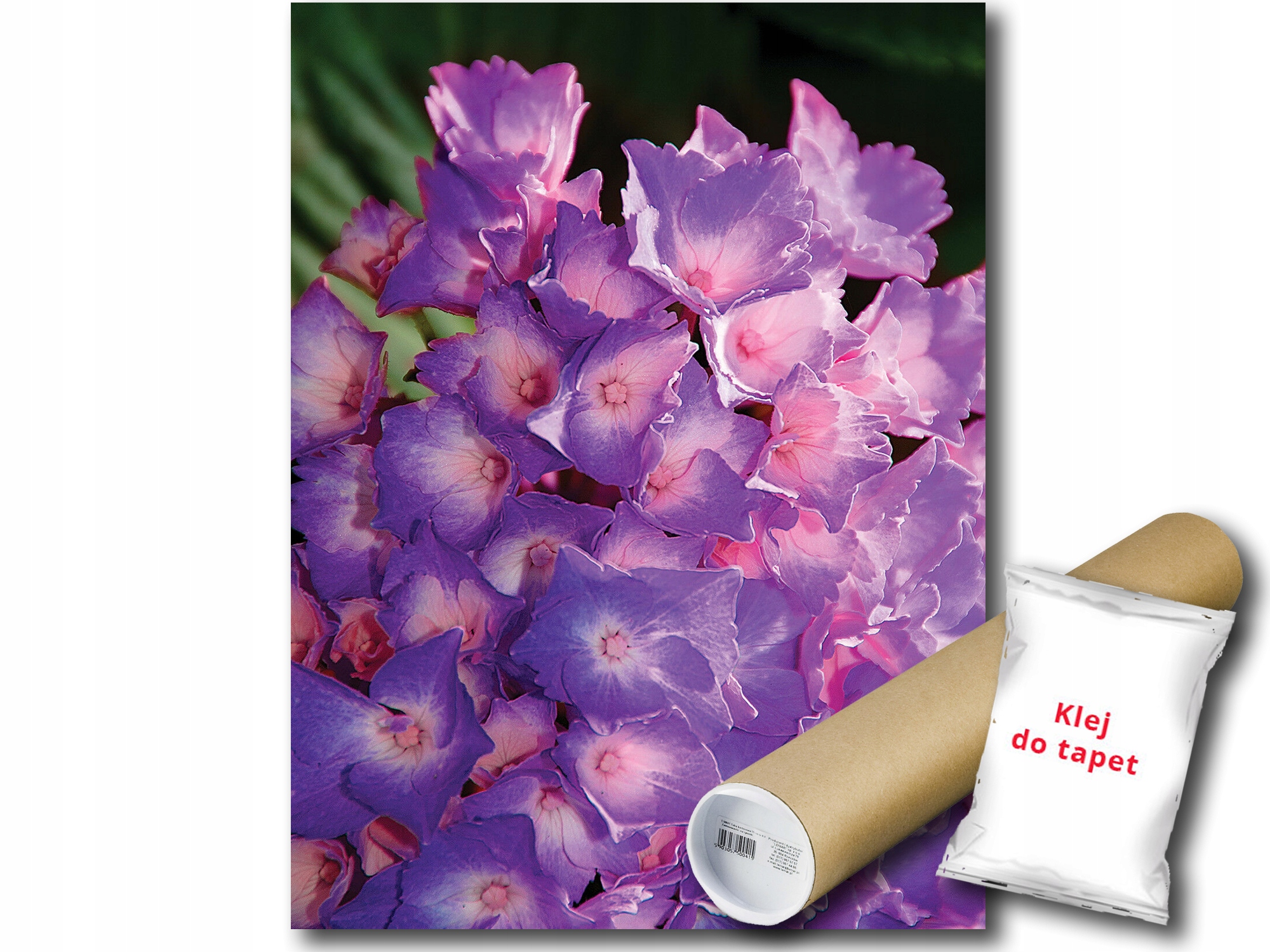Fototapeta Fialové Kvety 9E Panxl 206x275 F1563