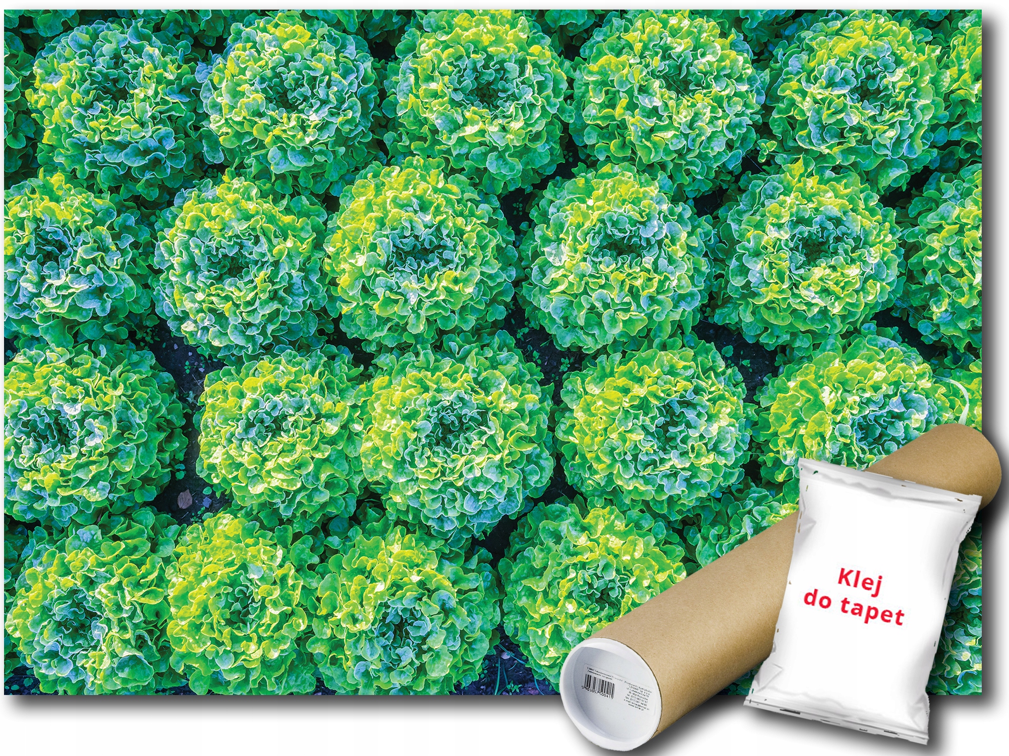 Fototapeta Šalát 9E V8 368x254 F12650