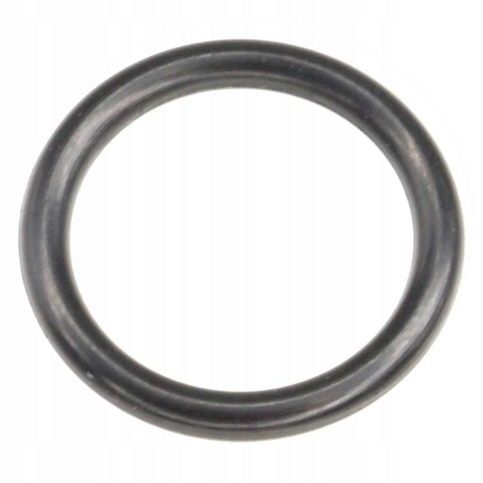 

Oring Wałka Rozrusznika Startera Mz 250 251