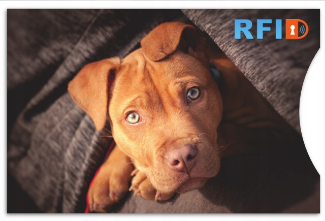 

Ochronne Etui na karty zbliżeniowe 100% Rfid 2szt!