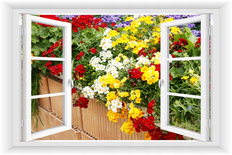 

Fototapeta Okno 3D Ogród Pergola Kwiaty 195x130