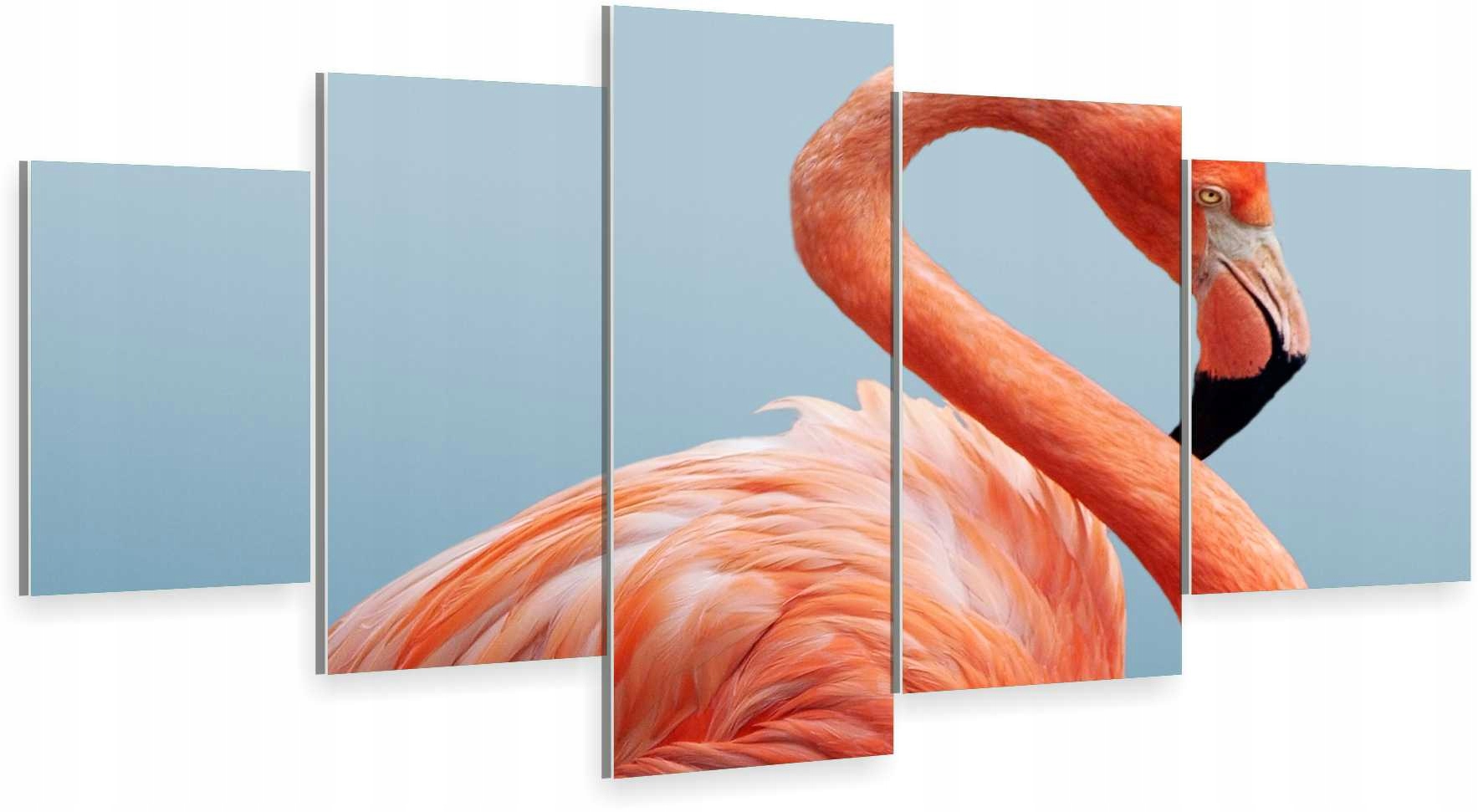 

Tryptyk 5-CZĘŚCI Na Ścianę Flaming 800 Wz