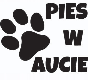 

Naklejki na auto samochód Pies W Aucie