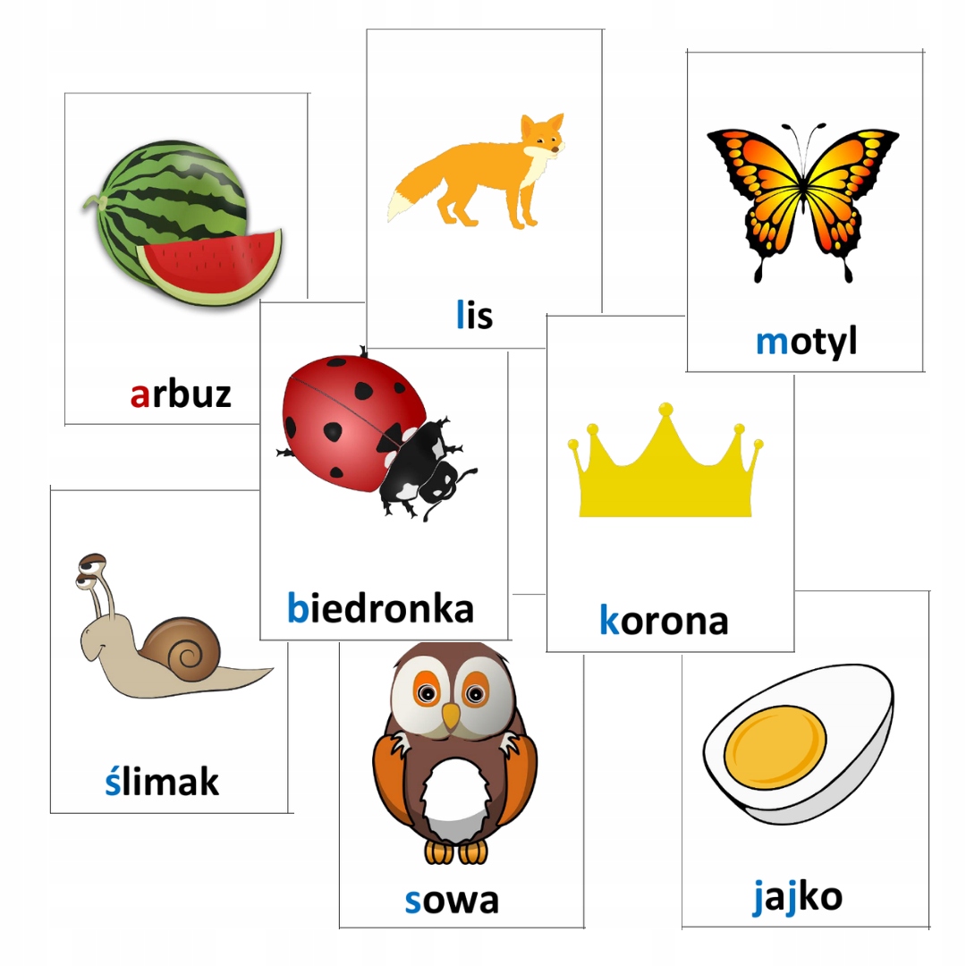 

Karty Obrazkowe dla dzieci|x138|nauka czytania