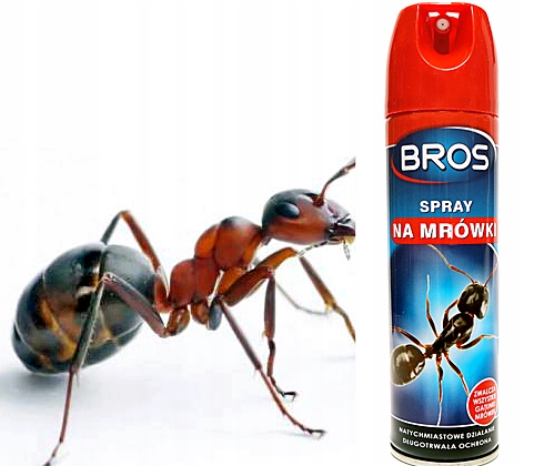 

Bros Spray Na Mrówki 150ml Środek preparat trutka