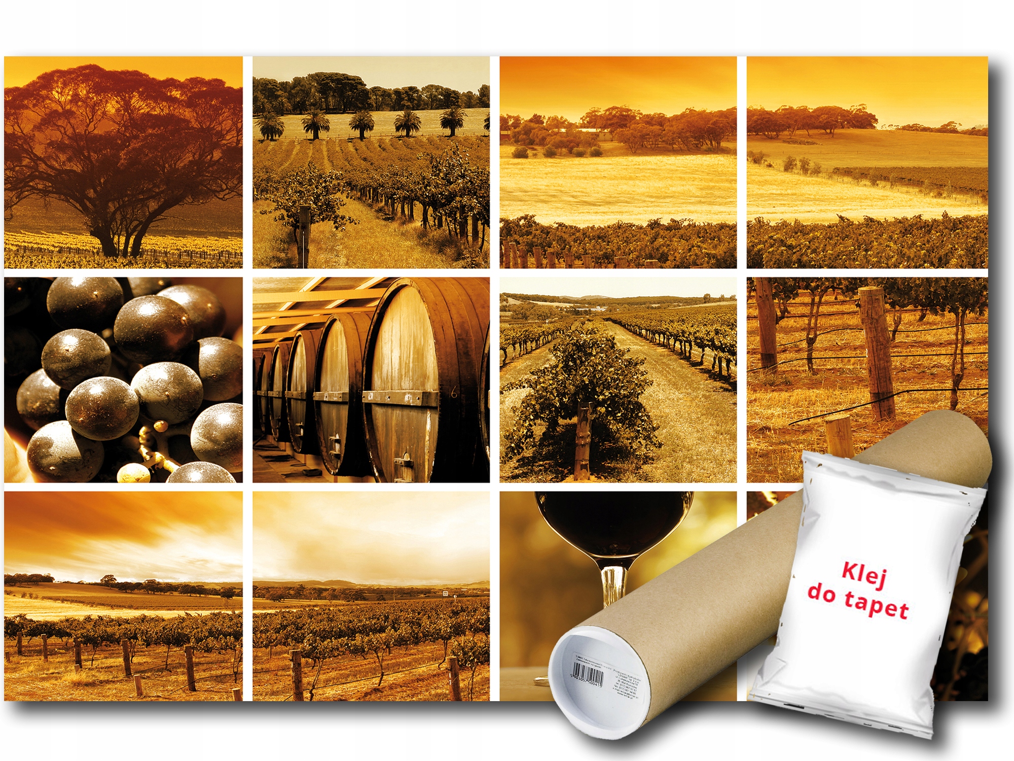 Fototapeta Víno Vinice 20A V8 368x254 F106