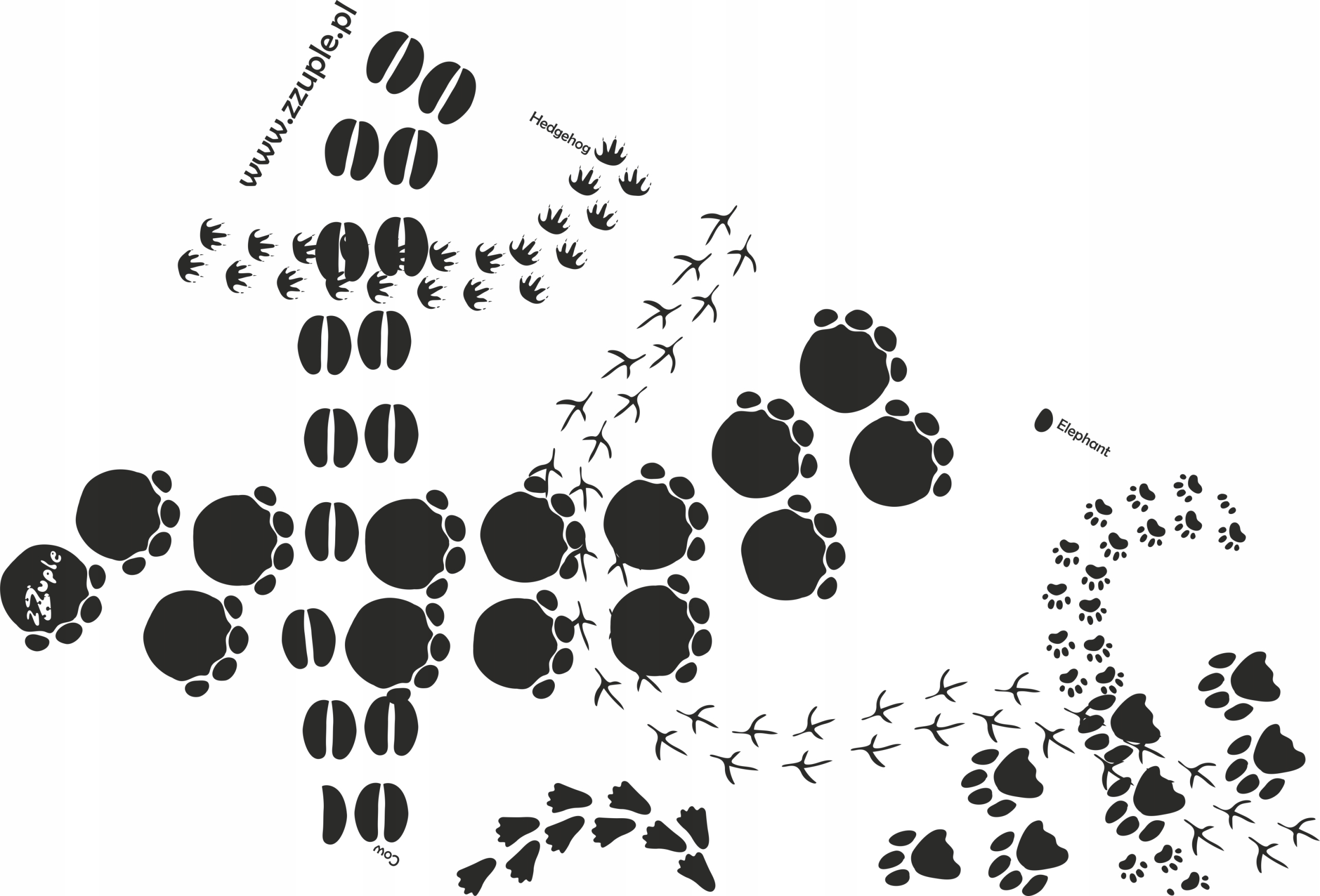 Montessori Footprints mata 50cm*250cm & tafle Autor zZuple