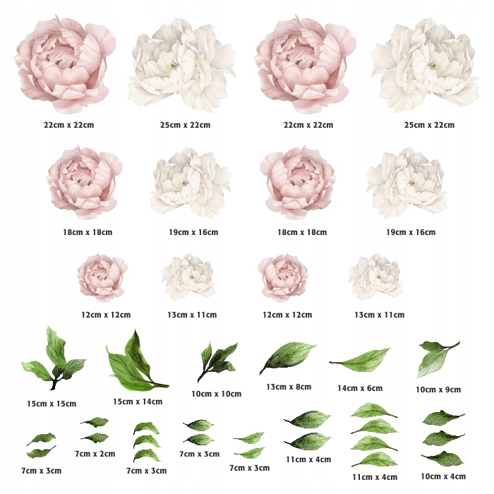 NAKLEJKI NA ŚCIANĘ PIWONIE KWIATY LISTKI LIŚCIE Długość 50 cm