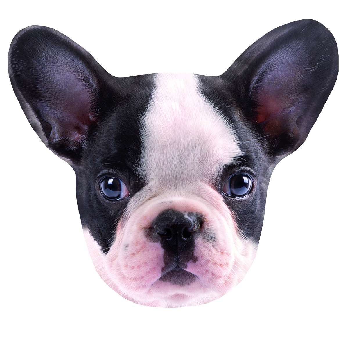 

Poduszka Pies Boston Terrier Kształtka
