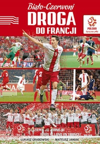 Biało-czerwoni. Droga do Francji Piłka nożna