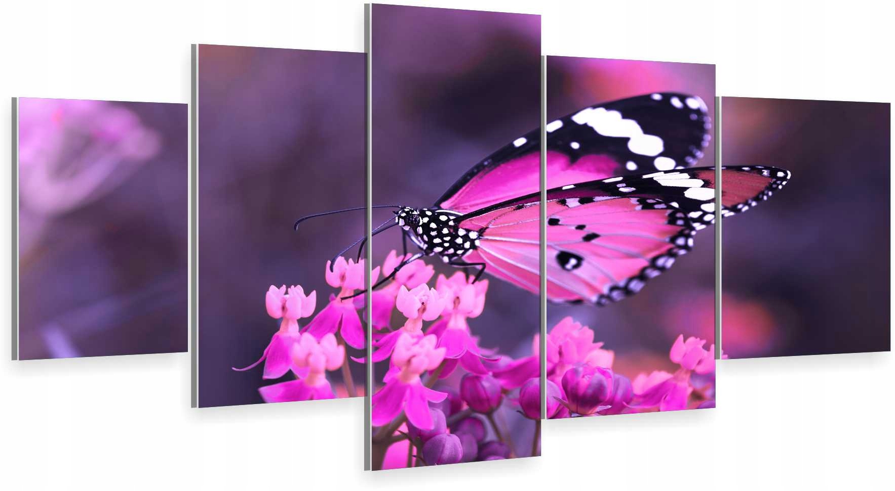 

Tryptyk 5-CZĘŚCI Na Ścianę Motyl Motylek 800 Wz