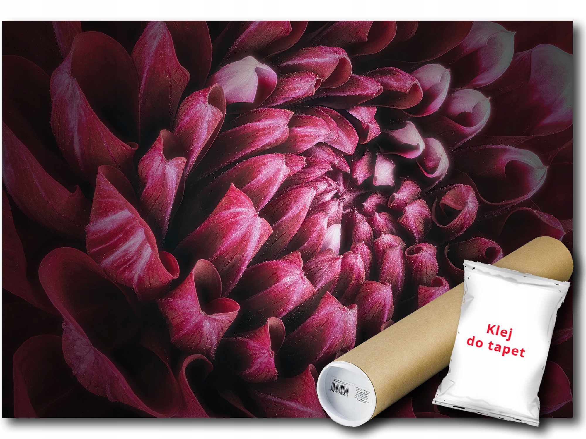 Fototapeta Květ Pivoňka 9E F3XL 416x254 F12710