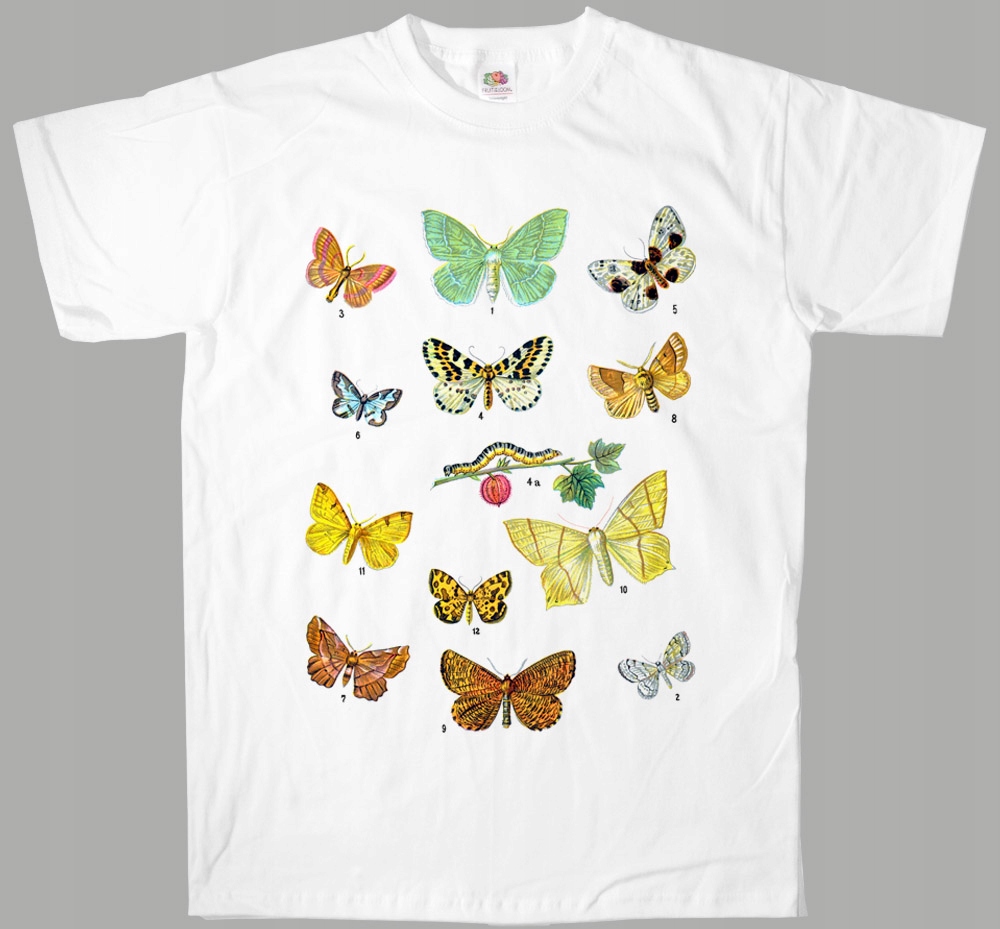 

Starodruk owady motyle motyl butterfly koszulka 1