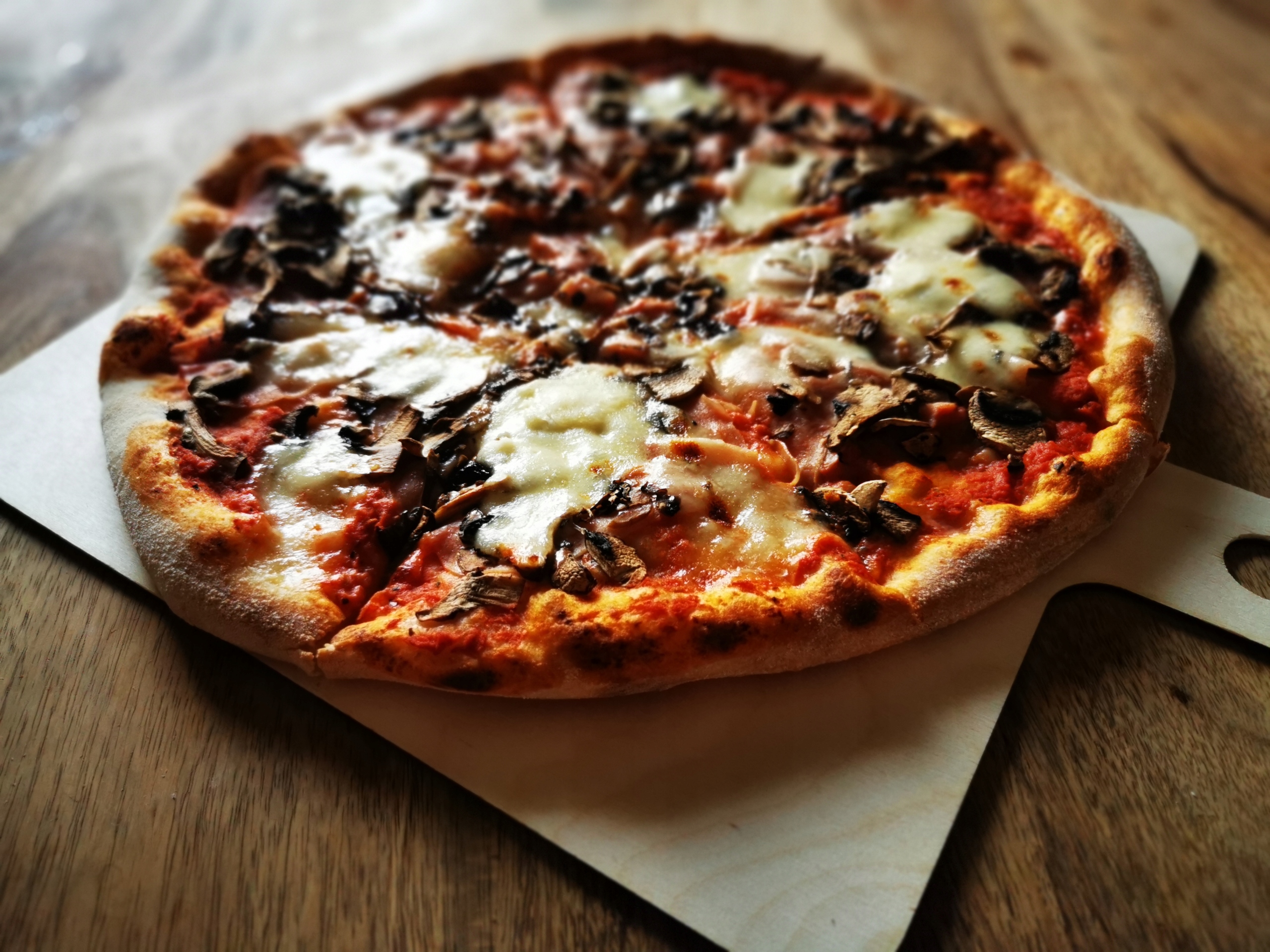 KAMIEŃ DO PIZZY CHLEBA SZAMOT PRZEPIS 2xŁOPATKA Rodzaj do pizzy