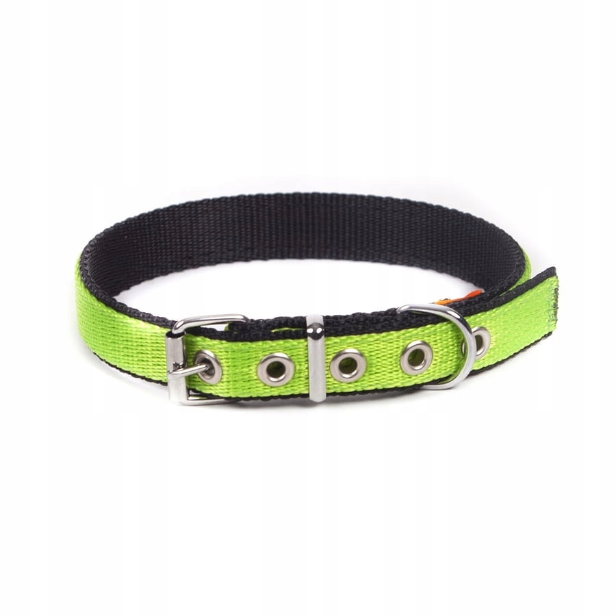 

Dingo Obroża Taśma Extra Energy 2,0 x 55cm Zielona