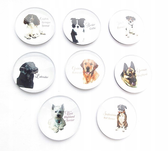 ŚLICZNY MAGNES /WEST TERRIER Marka inny