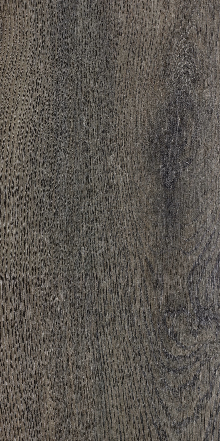 Panele podłogowe jodełka Aronia 12mm AC6 ALSAFLOOR Rodzaj panele laminowane