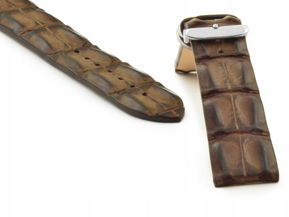 Kůže Aligátora Louisiana Alligator Hr 22 Hnědá