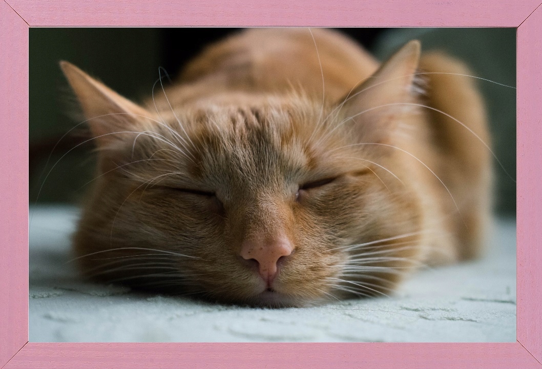 

Drewniana Ramka 42x29,7 Rama Różowa Na Zdjęcie A3